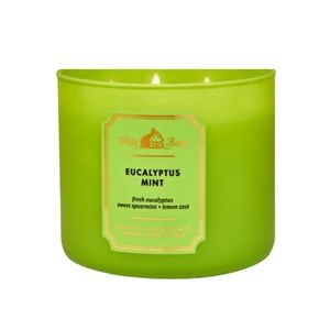🍃 Bath & Body Works Eucalyptus Mint Candle